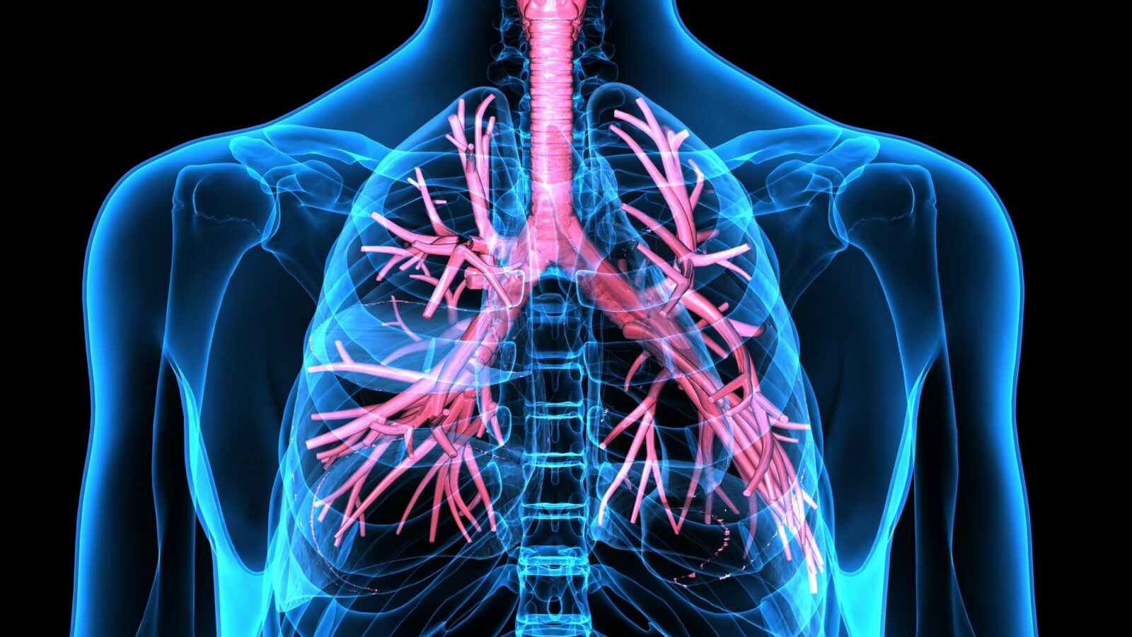 drugs for asthma