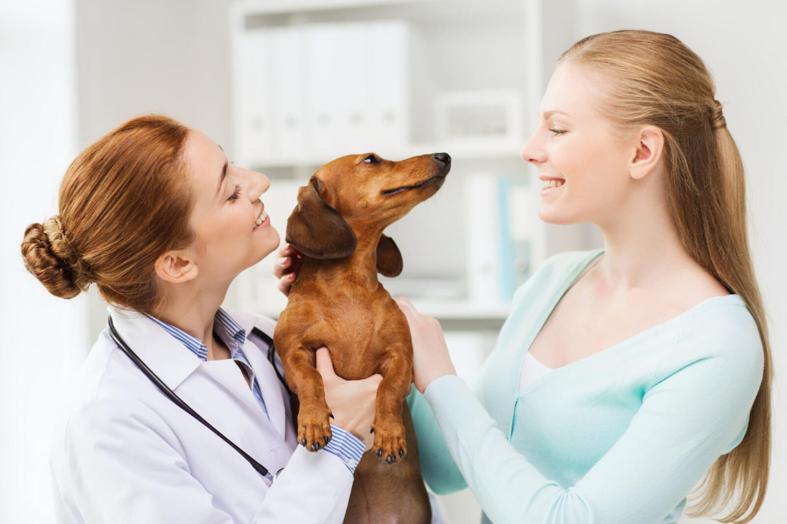 asthma in dogs